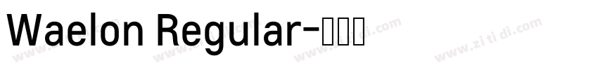 Waelon Regular字体转换